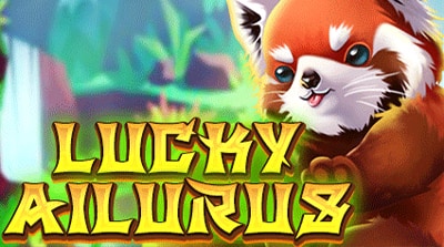 Lucky Ailurus